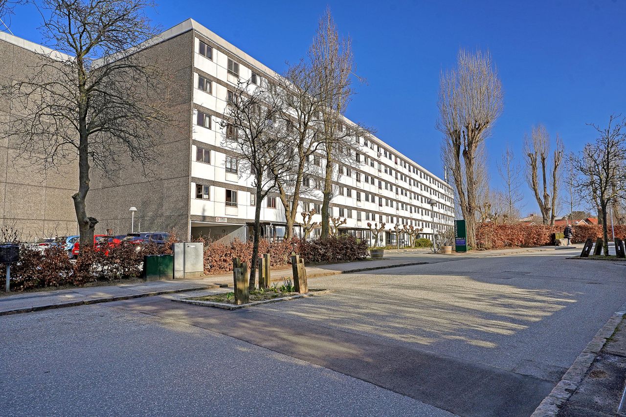 image 01